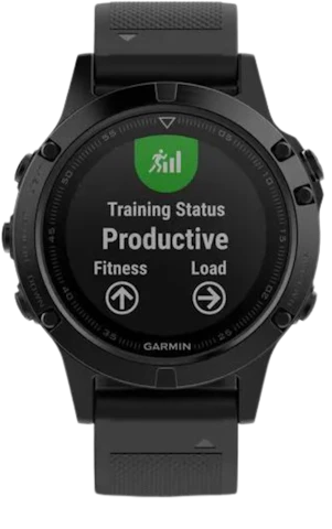 Garmin fenix 5 workout mode shop