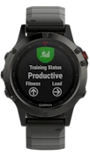 Garmin Fenix 5 Sapphire Slate Gray image