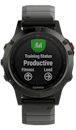 Garmin Fenix 5 Sapphire image
