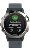 Garmin Fenix 5 Silver image