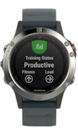 Garmin Fenix 5 image