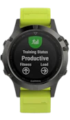 Garmin Fenix 5 Slate Gray Yellow Band image