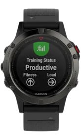 Garmin Fenix 5 image