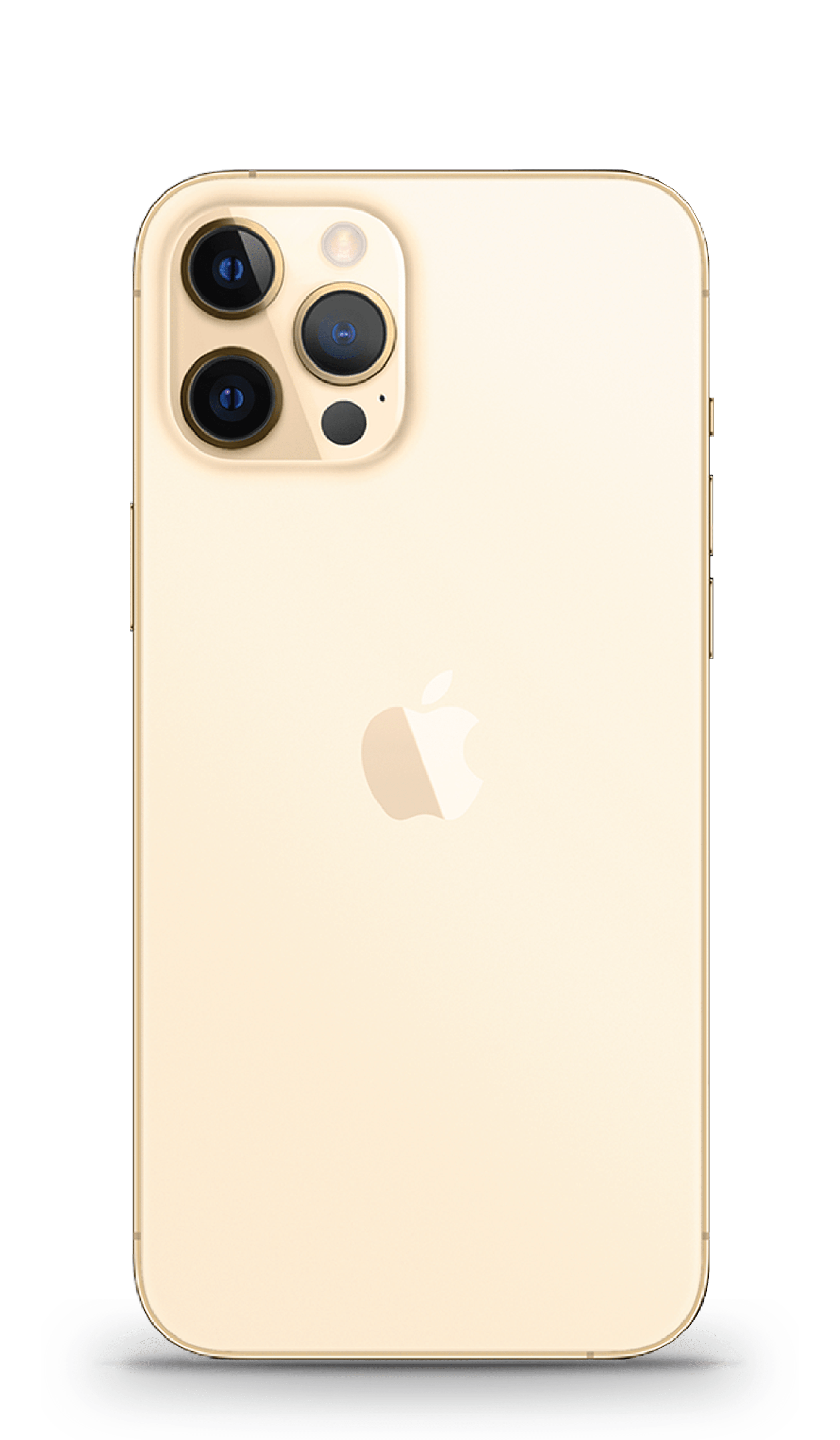 Buy an Apple iPhone 12 Pro 256GB Gold | Phonetradr