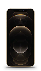 Apple iPhone 12 Pro image