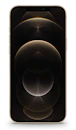 Apple iPhone 12 Pro Max image