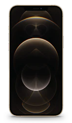 Apple iPhone 12 Pro Max image