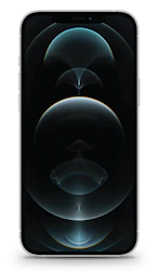 Apple iPhone 12 Pro Max image