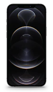 Apple iPhone 12 Pro Max image