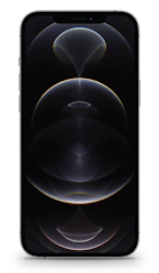 Apple iPhone 12 Pro Max image