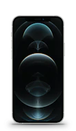 Apple iPhone 12 Pro image