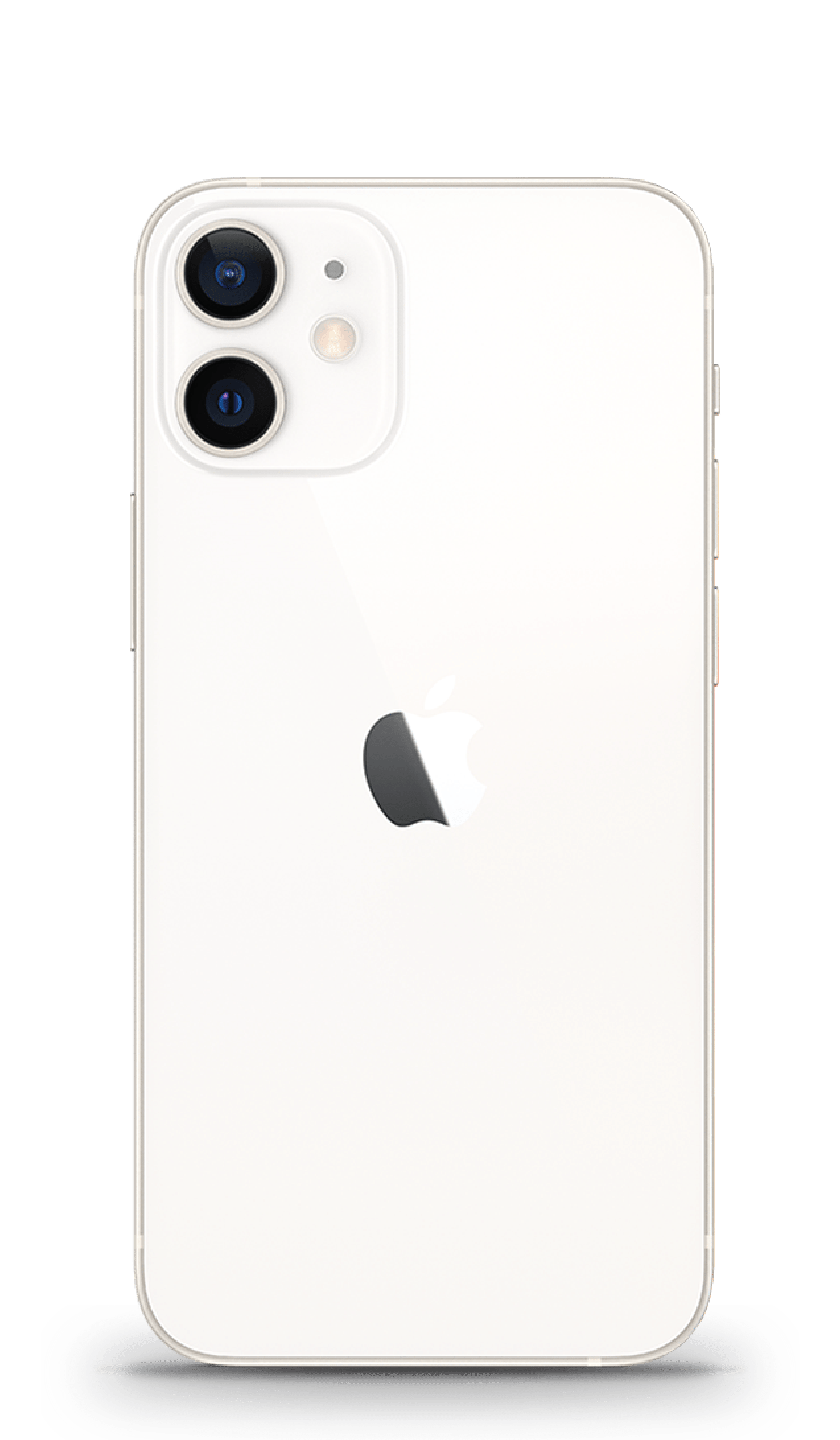 Apple iPhone 12ホワイト 128gb Apple IPhone 12 64GB 6.1´´ Wit | Techinn Smartphones