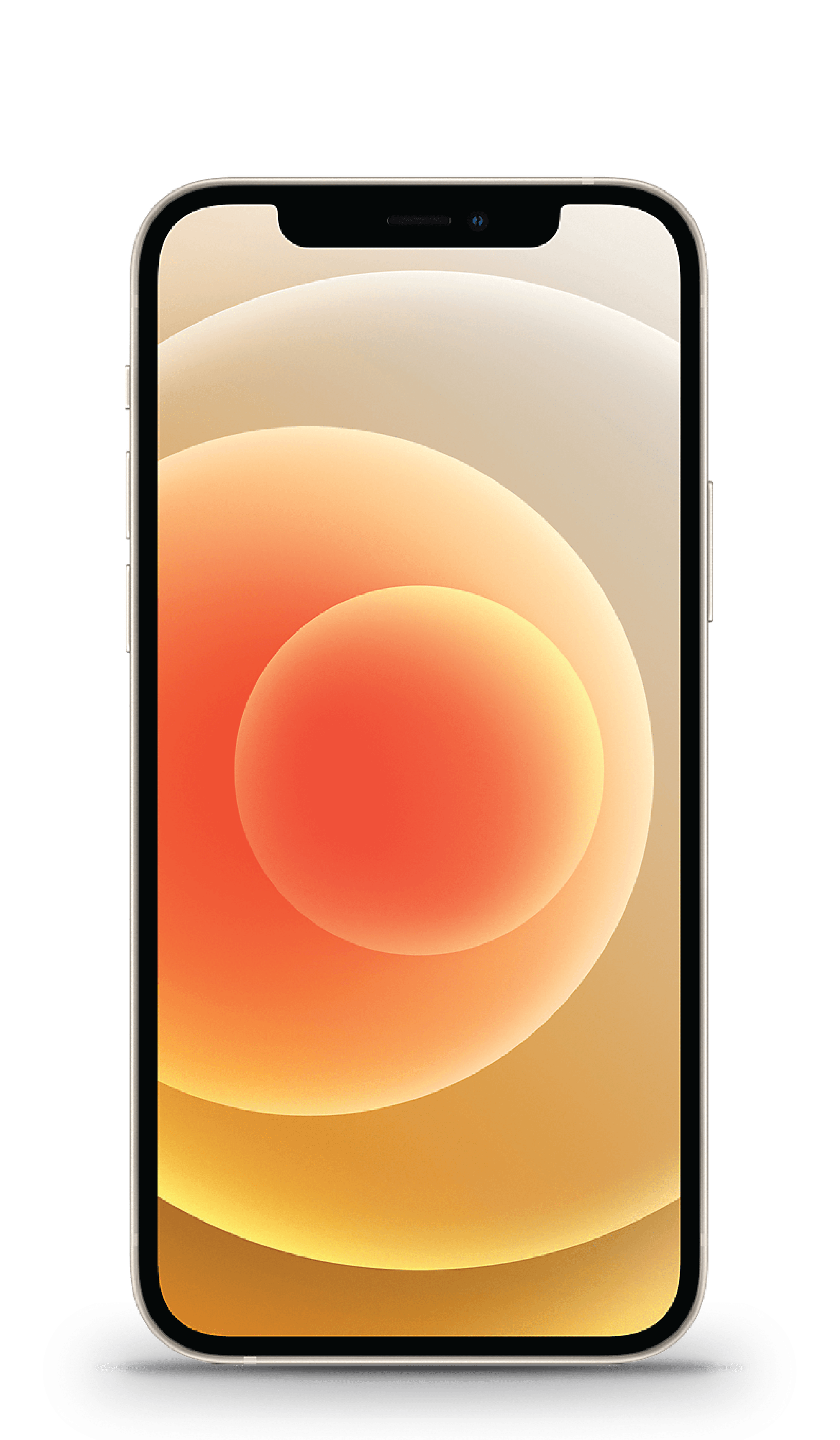 Apple iPhone 12 ホワイト 64GB simフリー ムスビー｜Apple iPhone 12 64GB ホワイト SIMフリー MGHP3J/A