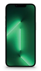 Apple iPhone 13 Pro Max image