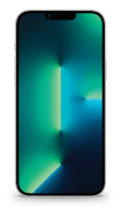 Apple iPhone 13 Pro Max image