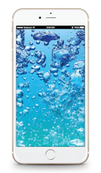 Apple iPhone 6s Plus image