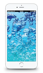 Apple iPhone 7 Plus image