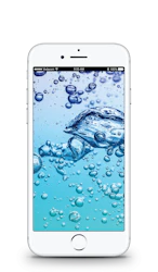 Apple iPhone 7 image