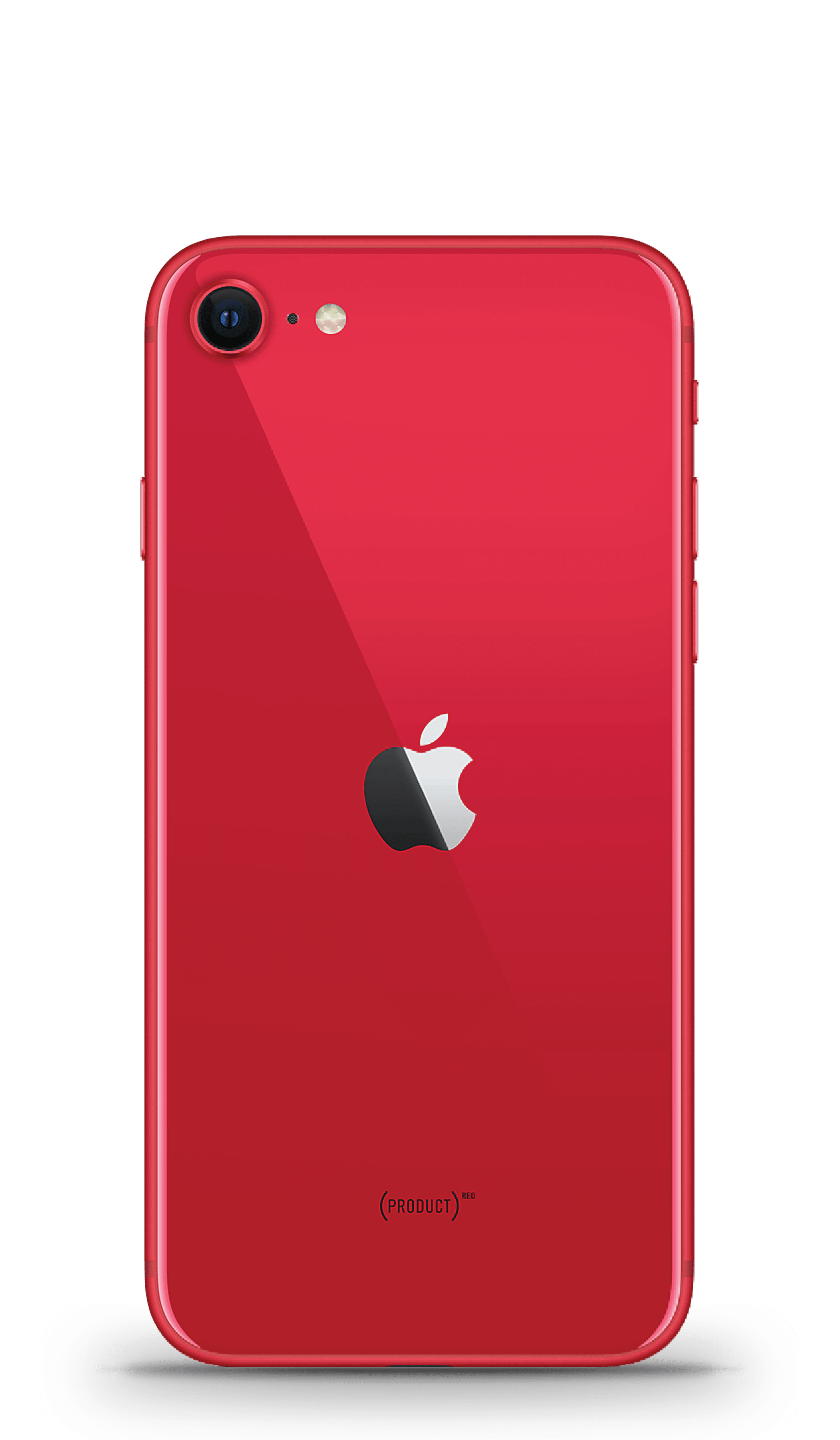 iPhone SE 本体 Apple iPhone SE 2020 Screen Specs | Phonetradr