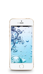Apple iPhone SE image