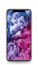 Apple iPhone X image