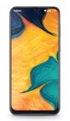 Samsung Galaxy A30 image